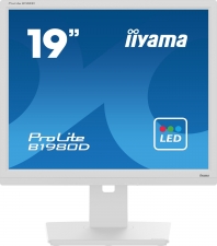 iiyama ProLite B1980D-W5, 19"